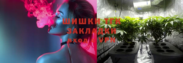 гидра Володарск