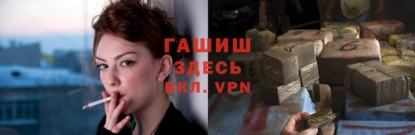 гидра Володарск