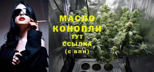 гидра Володарск