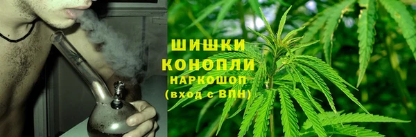 гидра Володарск