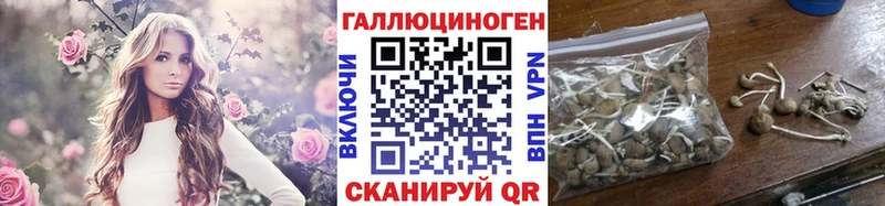 Купить где  Байкальск  Галлюциногенные грибы мицелий 